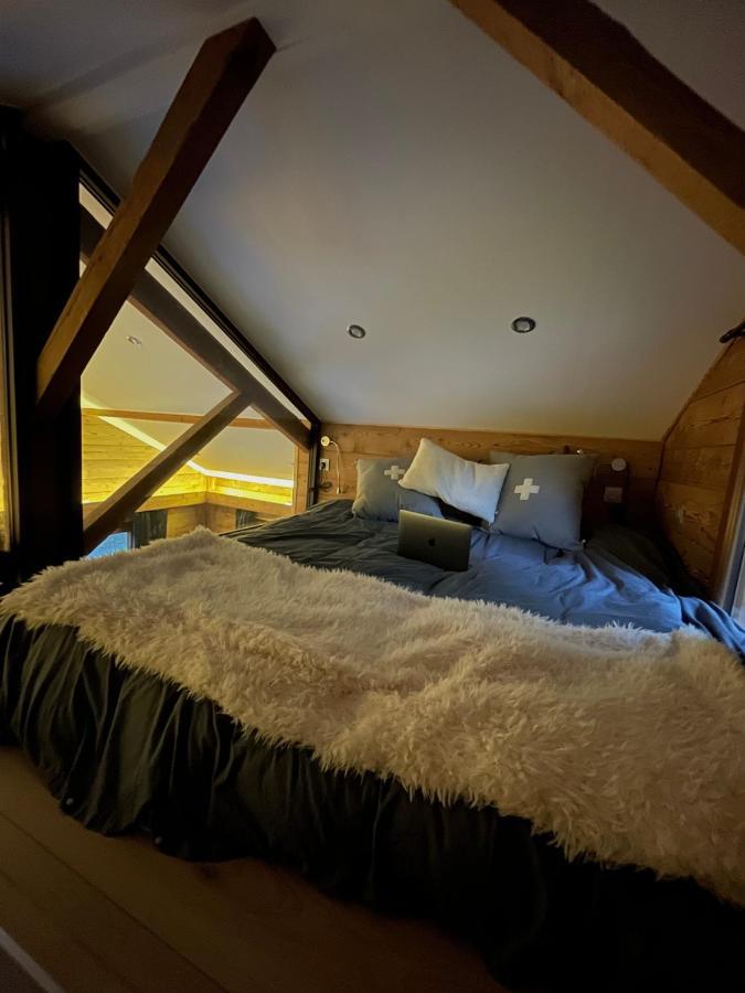 Chalet Mont Blanc Combloux Ngoại thất bức ảnh