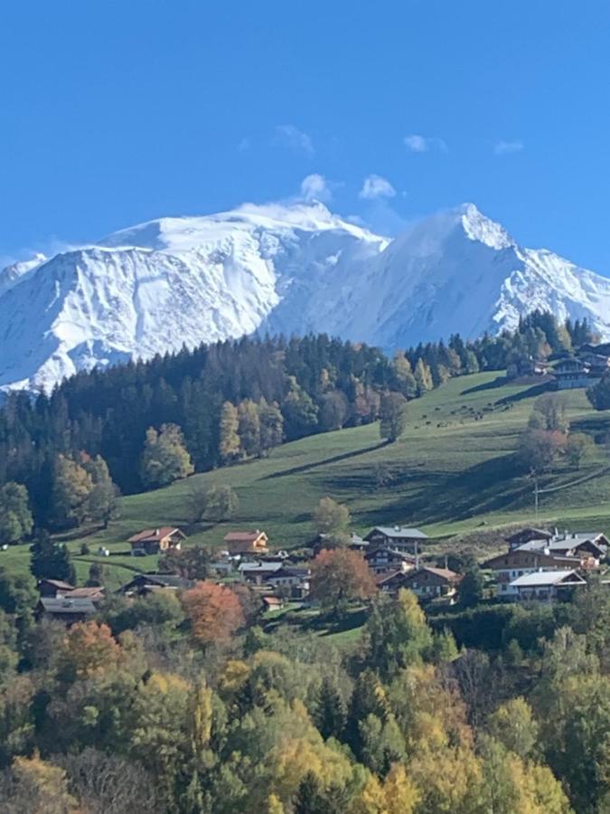 Chalet Mont Blanc Combloux Ngoại thất bức ảnh